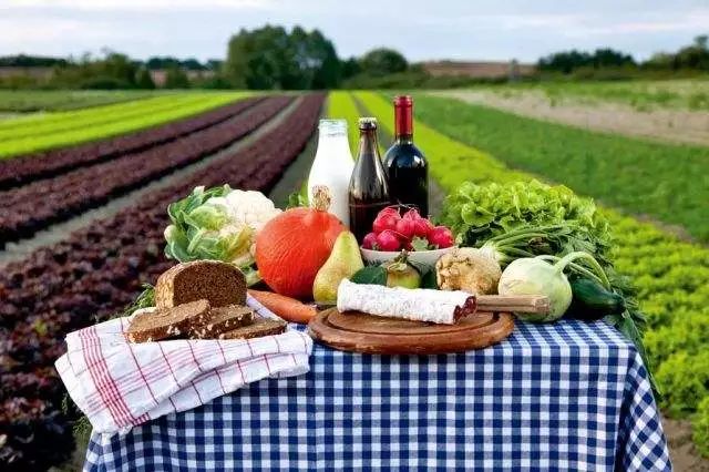 探秘！中国有机农业该如何发力（附国外优秀案例）