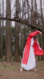 如果有一支舞能欢乐与激情并存,把一首舞蹈跳完