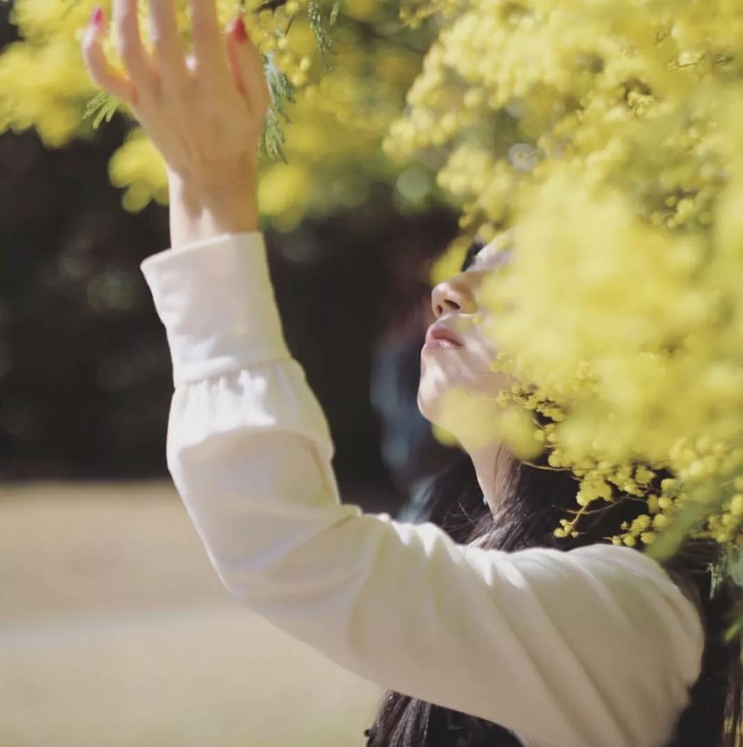 十二种镜头拍照方式,害怕镜头是什么症状