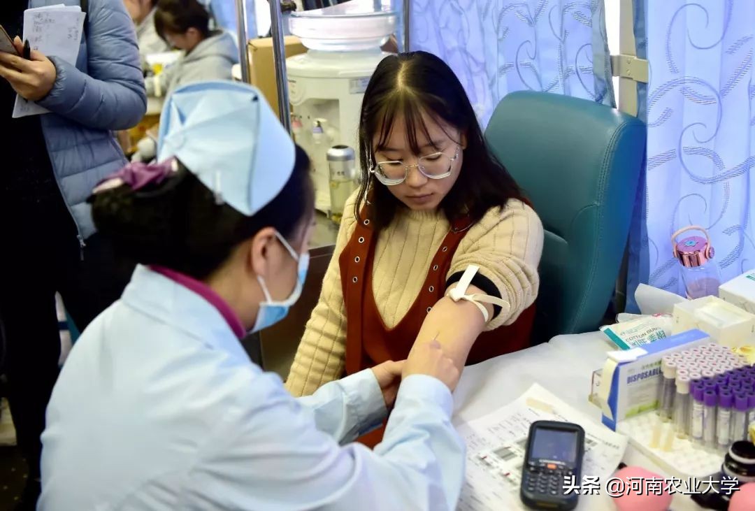 大爱丨228150毫升！农大人的热血让这个冬日温暖如春