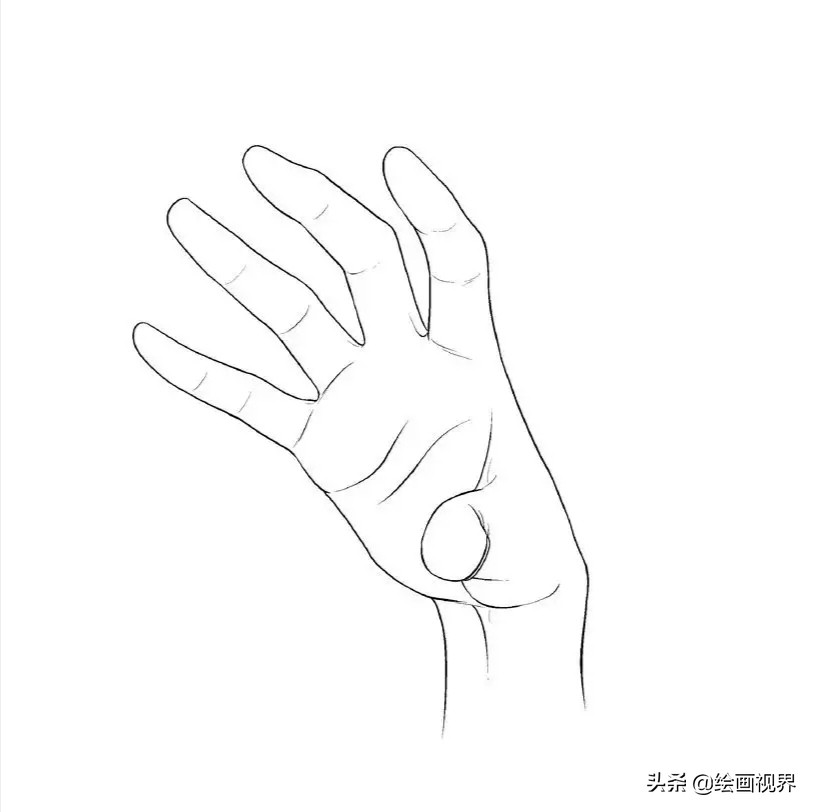 手的绘画入门教程,画人手的画法