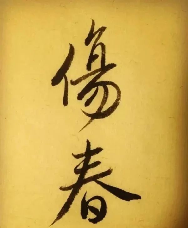 王昱珩不上班做到财富自由,最强大脑王昱珩清华毕业后不上班