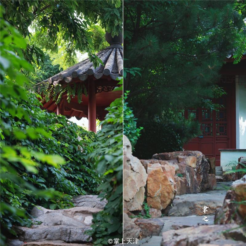 滨海生态城动物园,塘沽5块钱动物园