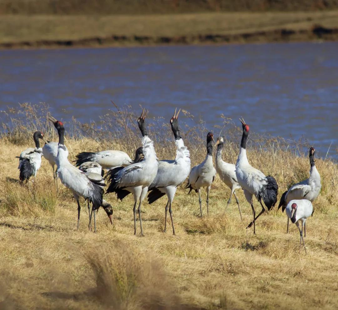 云南淡季旅游线路推荐,云南春季旅行推荐