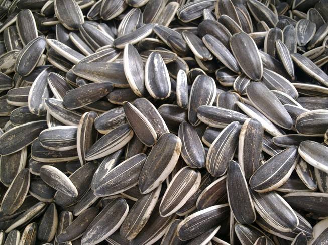 吉林松原特产或小吃,松原特产必买清单