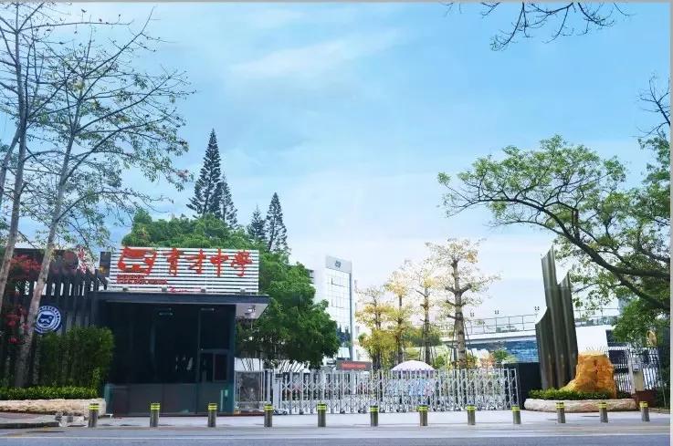 深圳人挤破头都想进的10座小学,深圳人最想进的小学