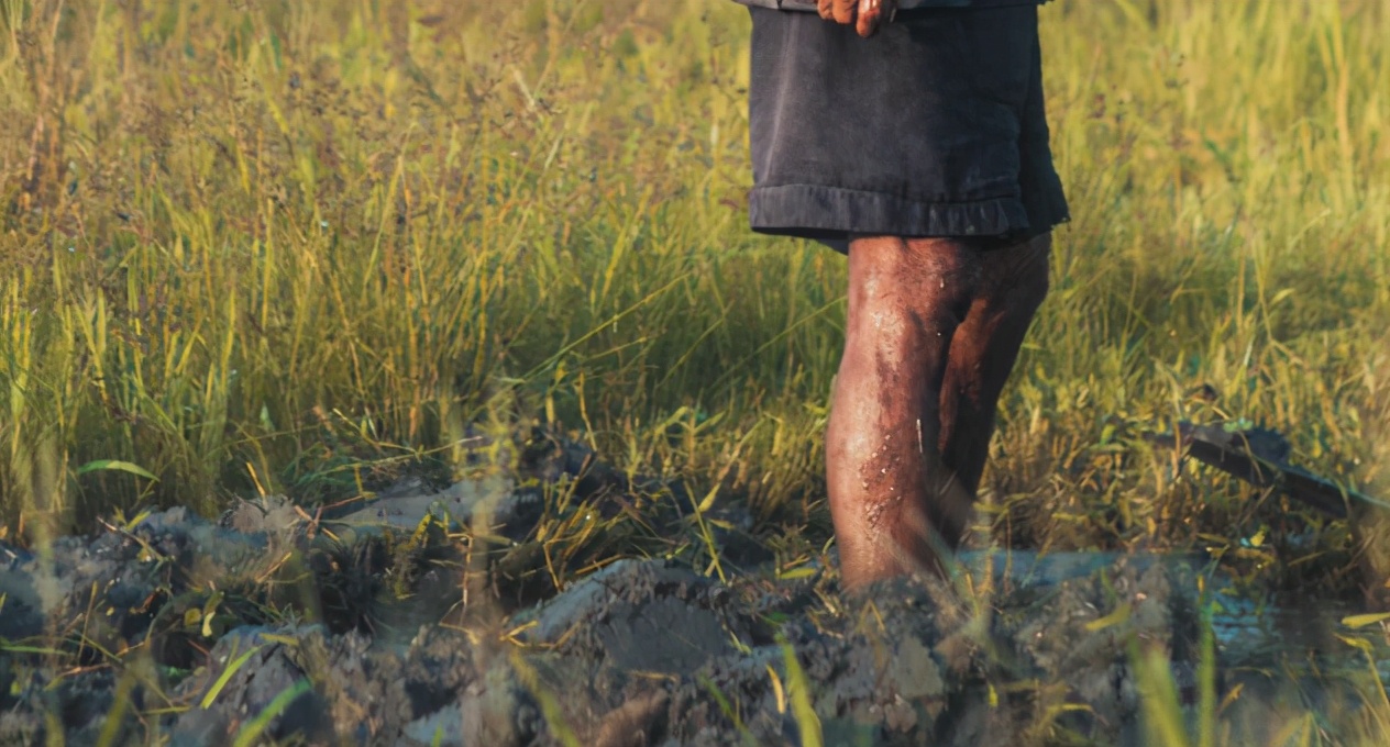 小米有品面条直播,小米有品直播间旗舰店