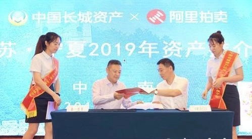 中国长城资产江苏分公司资产营销,长城资产500亿