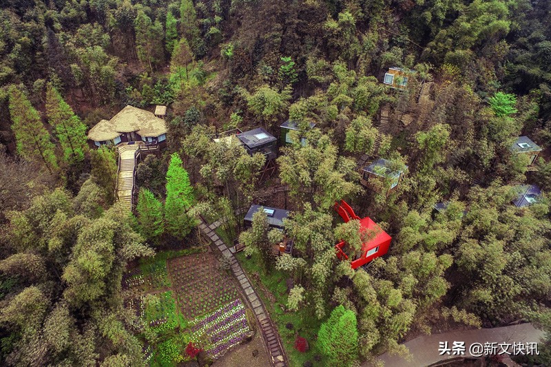 成都世警会开幕式,2019成都世警会开幕式