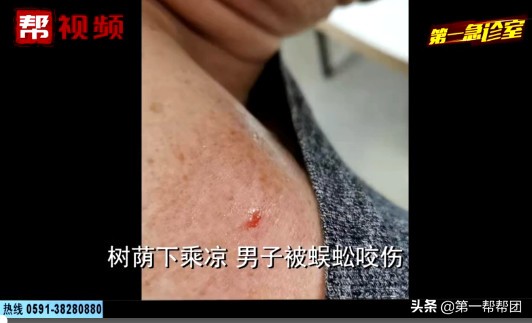 男子在森林中遇到巨型蜈蚣,千年老树里爬出巨大的蜈蚣