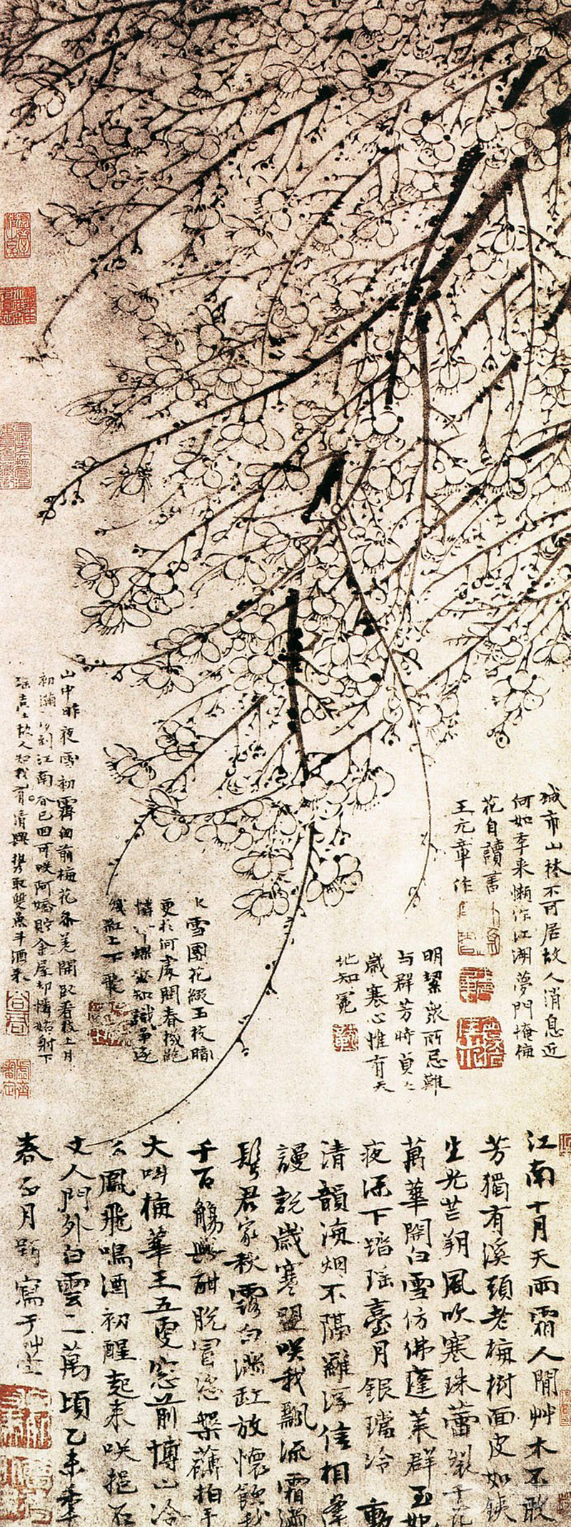 王冕画梅有何特别之处,历代画梅花名人