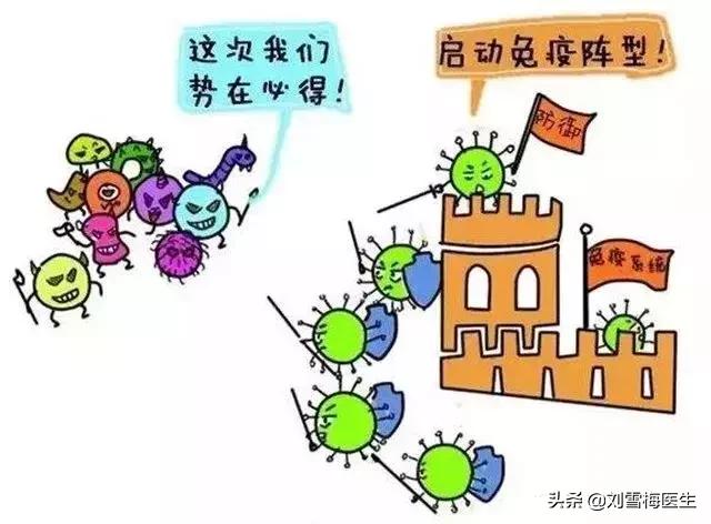 黄体酮不足导致的胎停有什么症状,怀孕14周胎停有什么症状或征兆吗