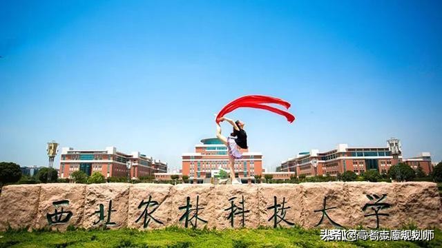 我国最好的4所农业大学，2所985，2所211，都为全国百强高校