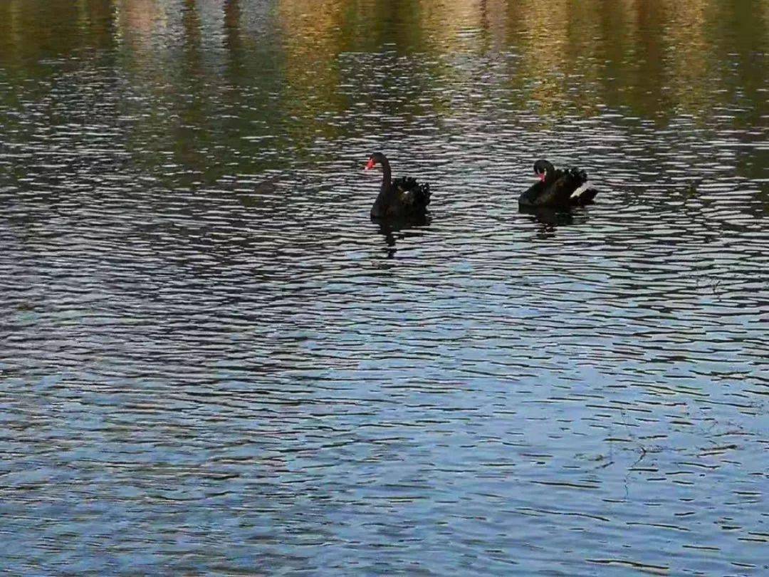 搞笑大学学校名称,哈尔滨各高校特点搞笑版