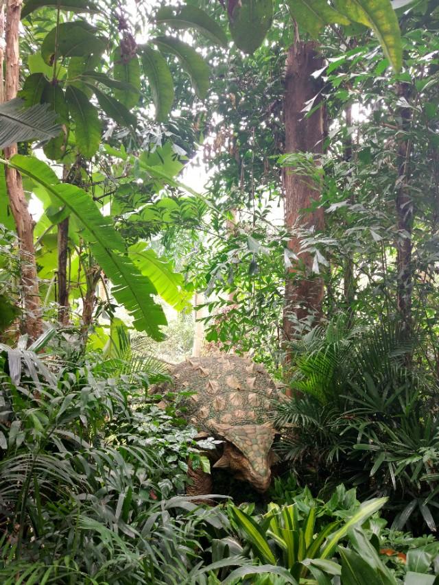 广州长隆野生动物世界二日游,广州长隆野生动物世界步行游览区