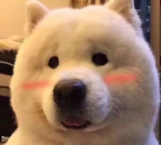 真实测评素颜霜哪种好用,十几块钱素颜霜真的好用吗