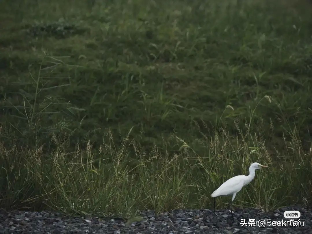 榛勭鎷嶆垙鍙ら晣,娴欐睙杩欎釜鍋忓兓鐨勫皬鍘垮煄