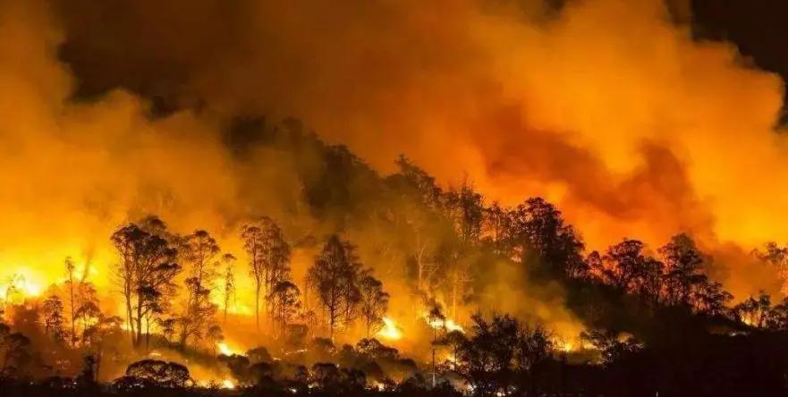 火字家族：伙、灭、灾，它们都跟火有什么联系呢？