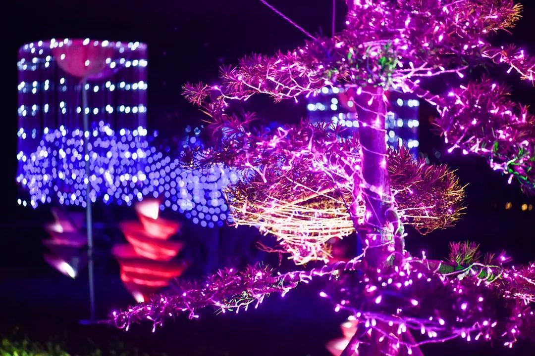 成都三圣乡恐龙主题公园,三圣乡恐龙主题公园地址