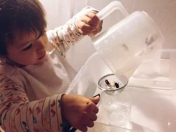 0-3岁儿童幼儿园游戏亲子益智游戏,蒙氏幼儿小游戏