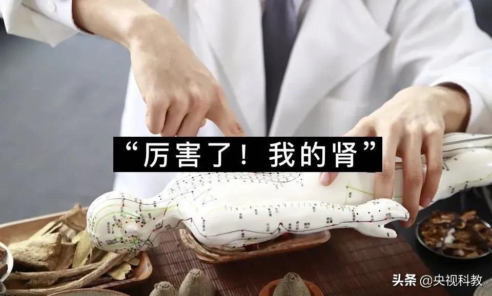 儿童养肾最佳方法,儿童怎么养肾最好