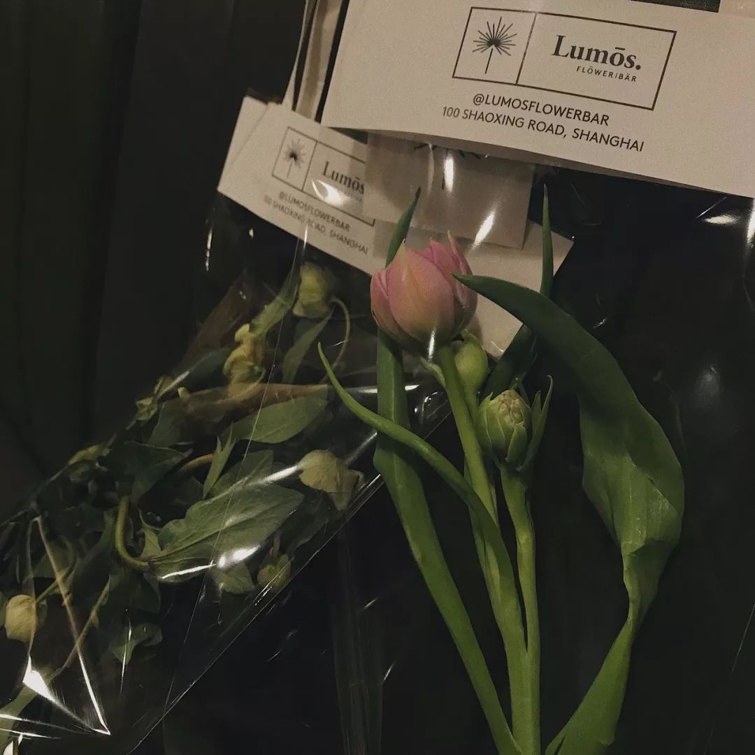 什么花最受女孩欢迎,女孩子中比较受欢迎的花