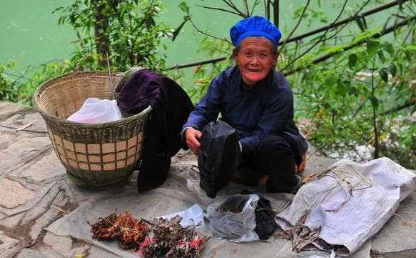 你想象的乡村是什么样的,你梦想的城市是怎样的