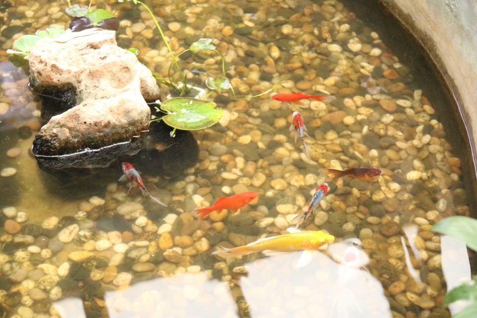 沐春简历,沐春个人资料