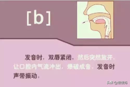 音标教学视频48个快速记忆法,英语48个音标发音教程视频