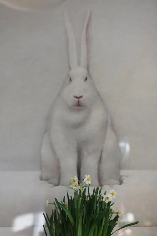 论一个人自律有多可怕bgm,自律的人到底有多可怕bgm