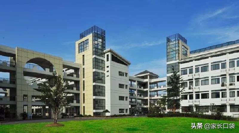 各区小学对口初中汇总表,对口小学排名公布