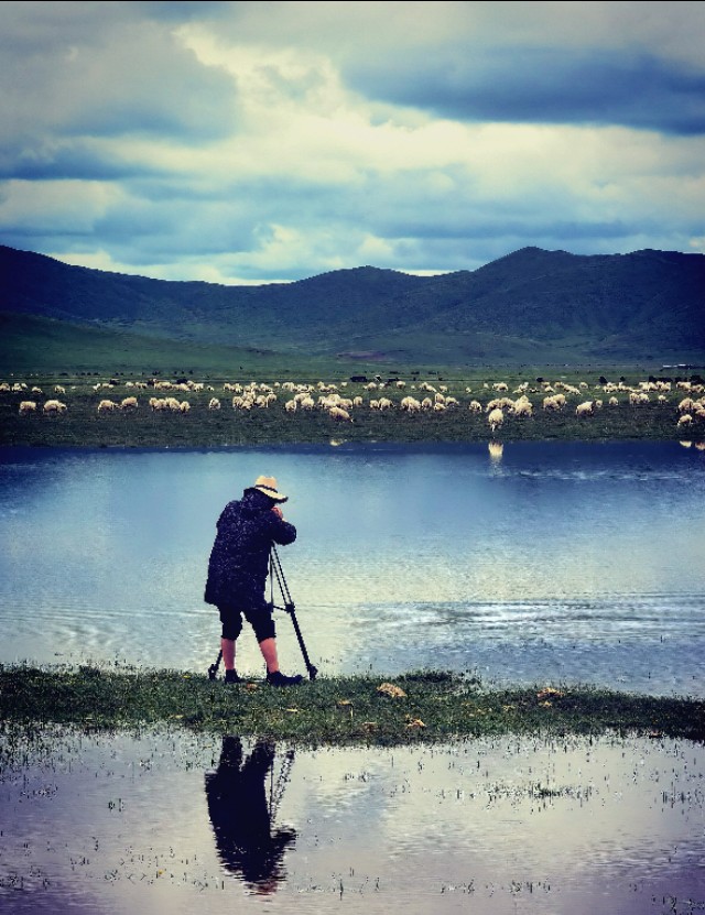 一条绝美草原之路,一条绝美的自驾公路