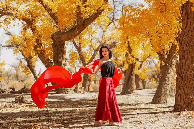 胡杨林旅游区道歉,额济纳胡杨林门票免费及优惠政策