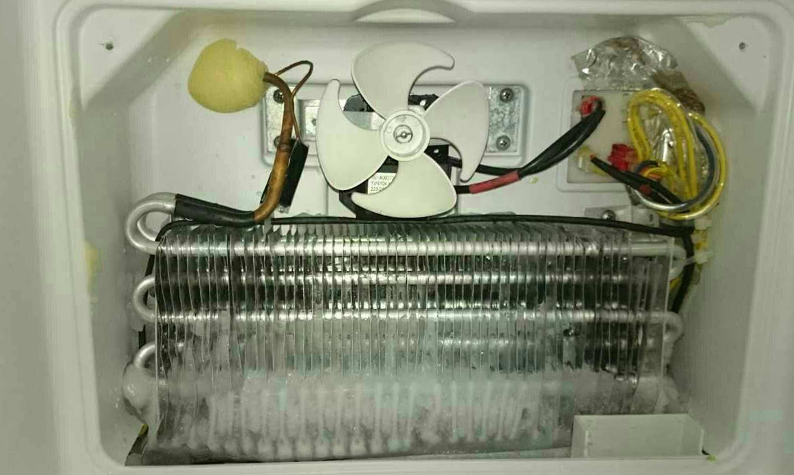 冰箱使用100个常识,选购什么样的冰箱才不会串味