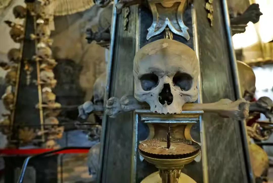 中世纪黑死病爆发时间,14世纪欧洲黑死病的根源