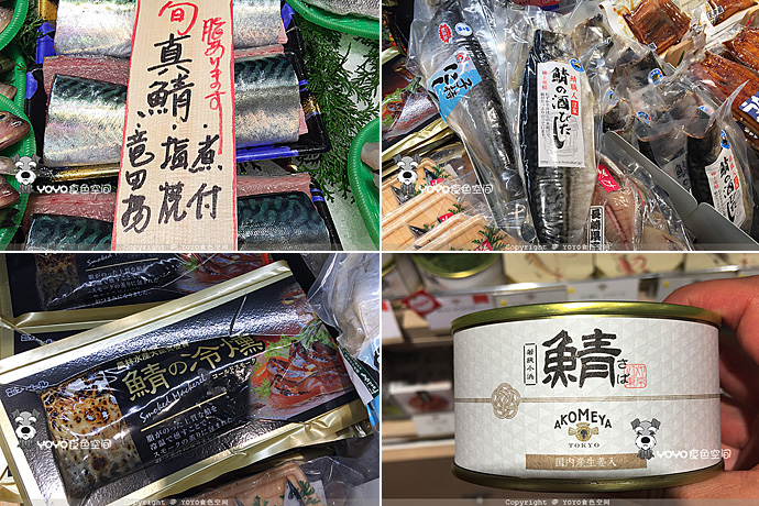 挪威自由行游记,挪威三文鱼远洋