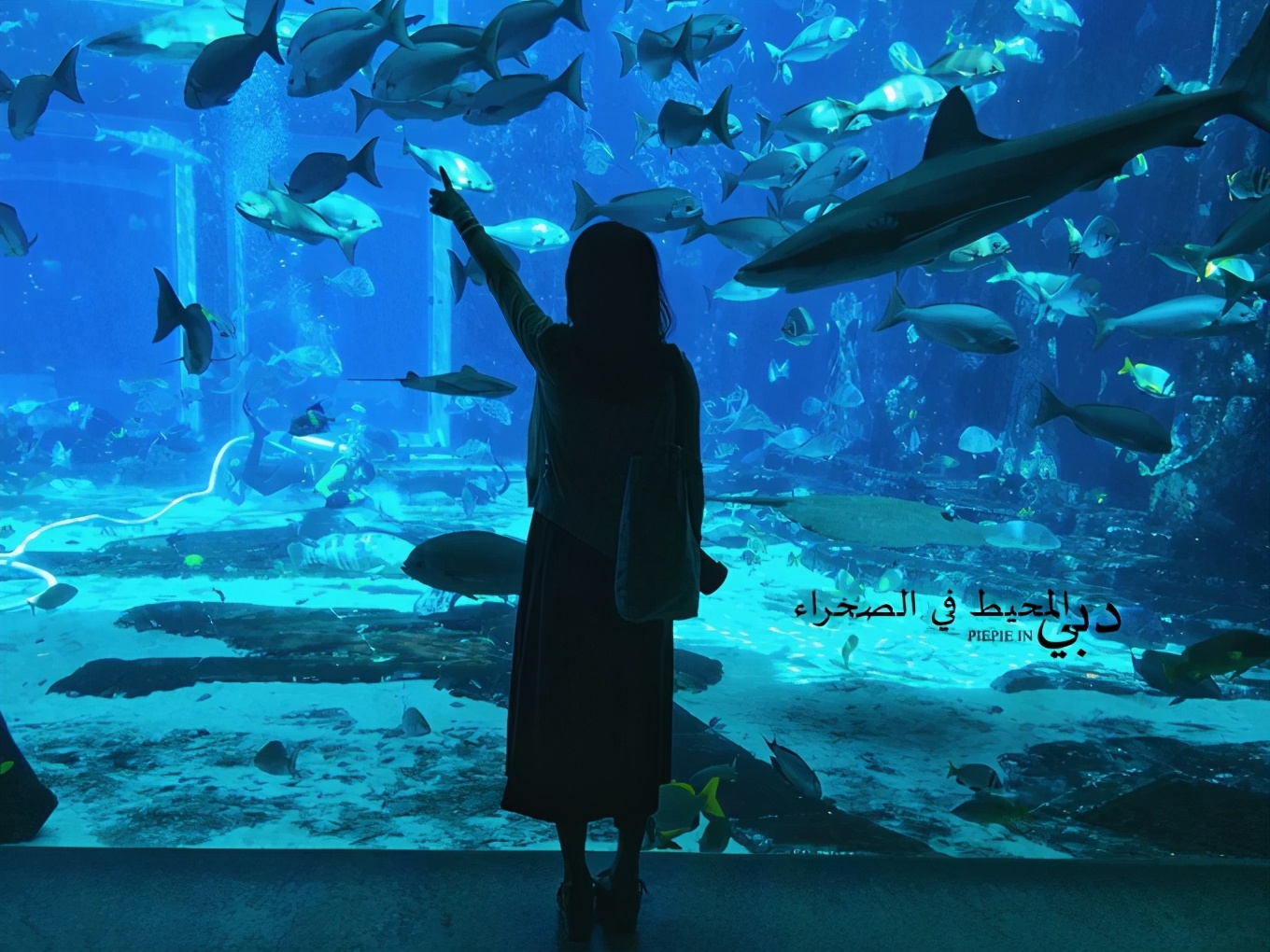 土豪之旅迪拜,迪拜土豪之旅