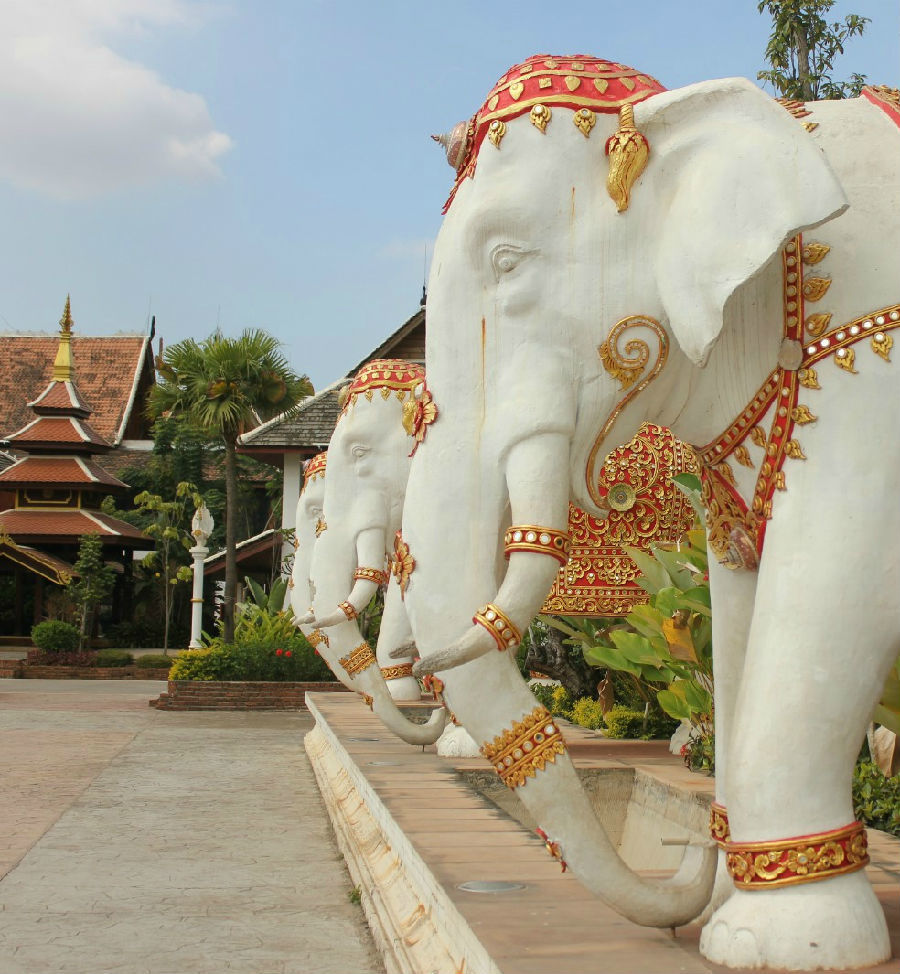 西双版纳旅游攻略最新详细,西双版纳旅游高端攻略