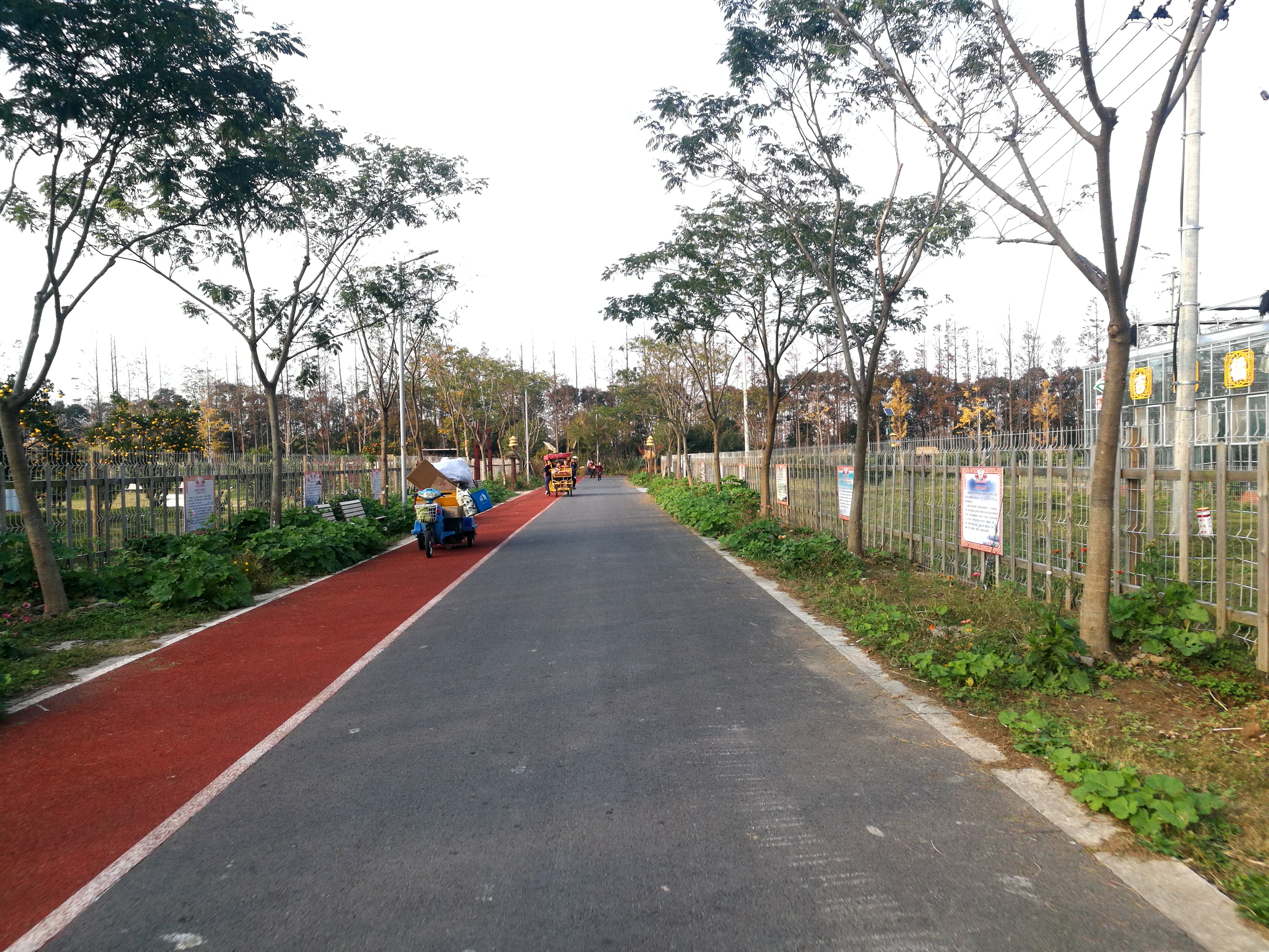 上海长兴岛郊野公园可以看见海吗,长兴岛郊野公园离上海站有几公里