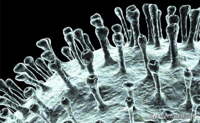 庚子年疫情思考,庚子年抗击疫情的感想