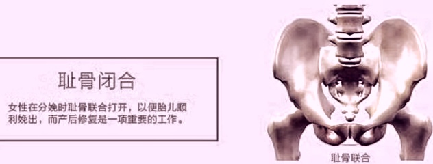 产后女性为什么一定要做骨盆修复？