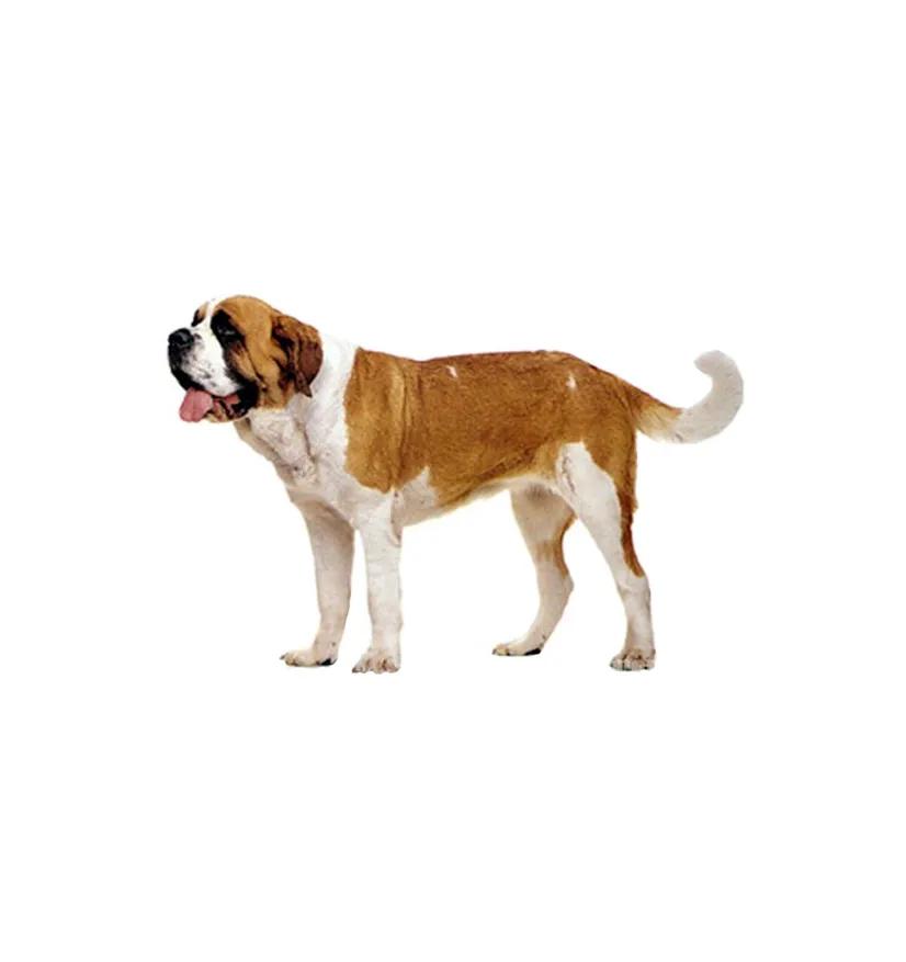 滨州48种烈性犬标准,滨州烈性犬最新规定