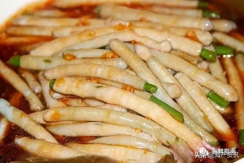 可以吃的海虫都有哪些,沙虫海肠的区别