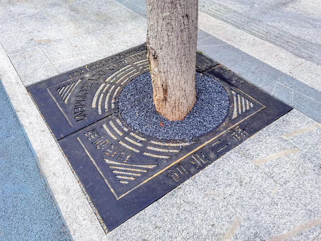 在深圳创业开店,在深圳创业做什么生意好