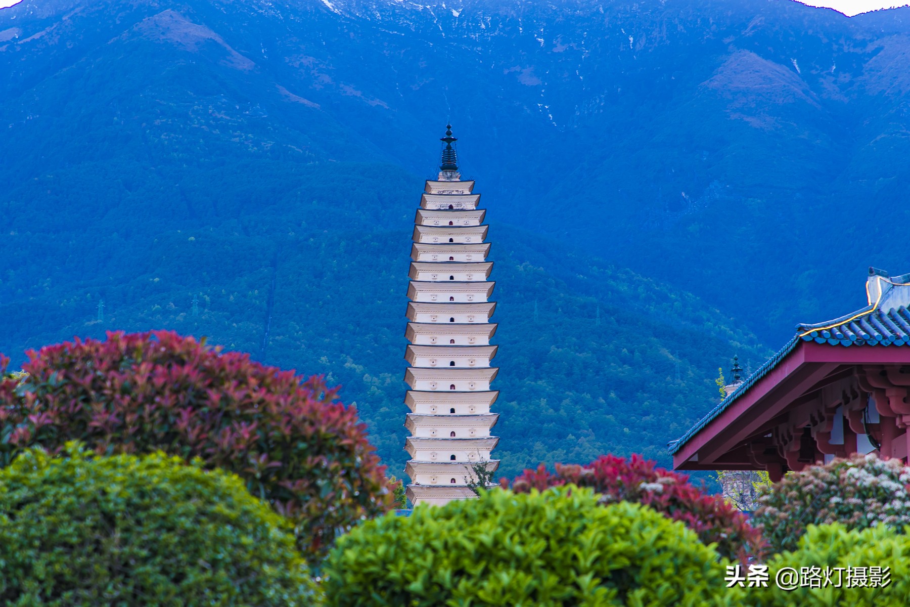 五月大理攻略,五月大理旅行