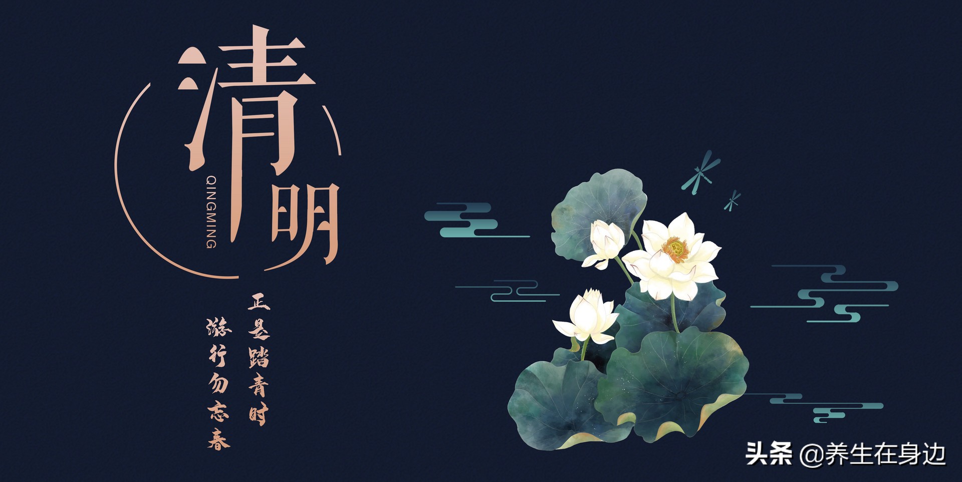 吃什么食材能养胃养肝润肺,清明时节养生必吃的食物