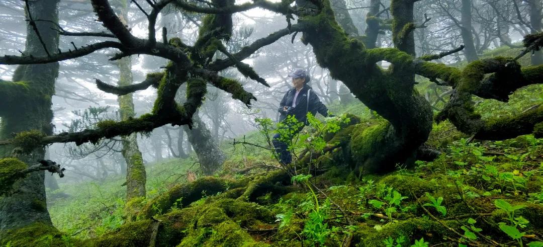 2023平遥国际摄影节获奖摄影作品,2009大理摄影展获奖作品