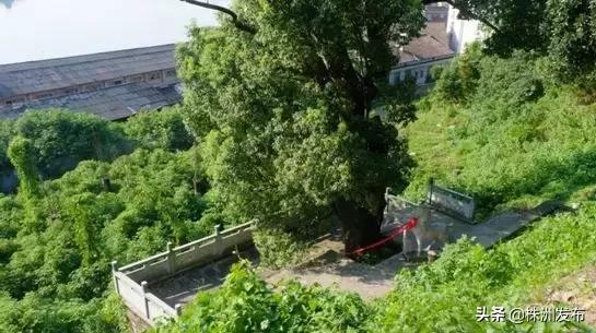 朱亭老街图片,朱亭古镇最新效果图