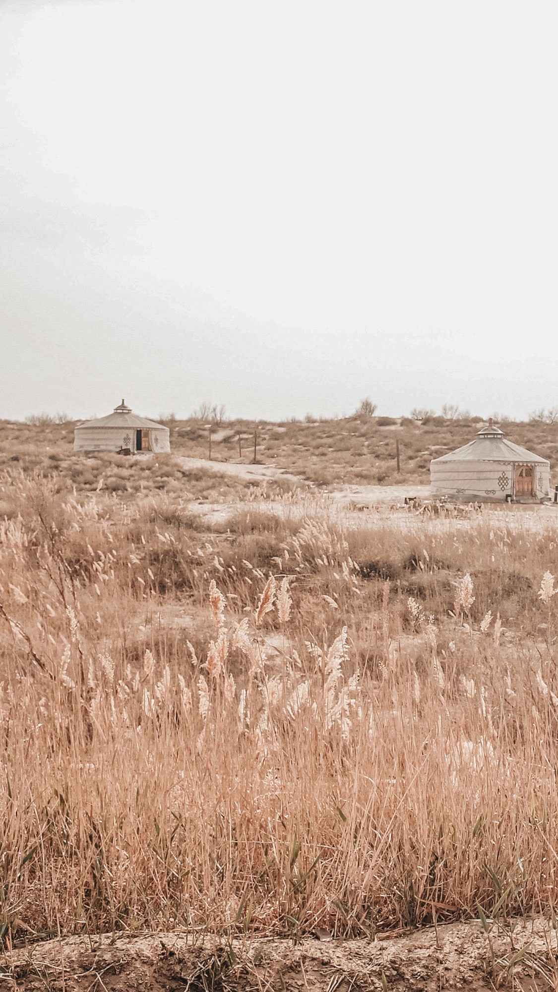 毛乌素沙漠自驾游路线,银川周边自驾沙漠
