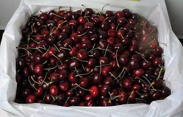 这5种水果最坑人你全都吃过吗,这5种水果一点都不甜